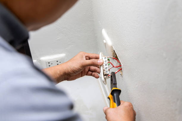 Best Licensed Electrician  in Horse Shoe, NC